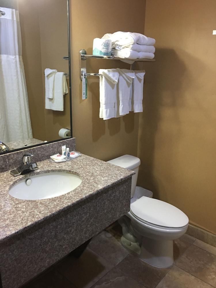 Comfort Suites North Pflugerville - Austin North Extérieur photo