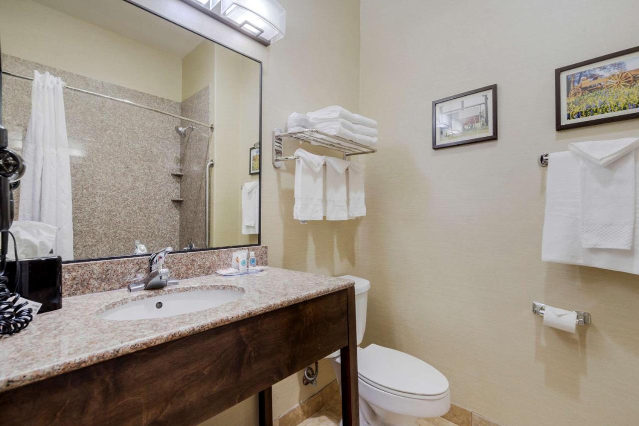Comfort Suites North Pflugerville - Austin North Extérieur photo
